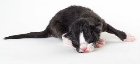 20150603_e2-kull_newborn_0041