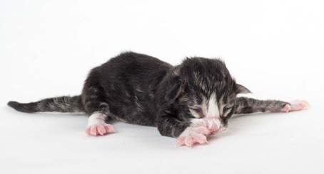 20150603_e2-kull_newborn_0069