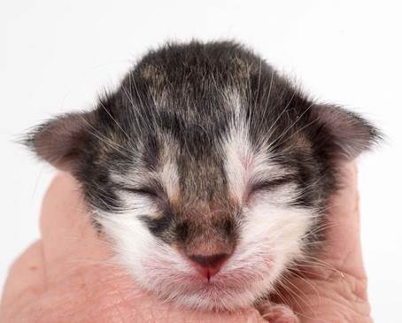 20150604-e2-kull_newborn_088