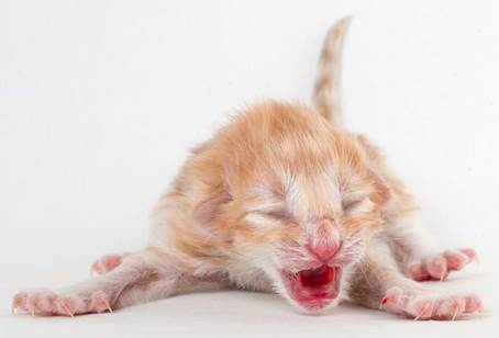 20150604-e2-kull_newborn_097