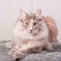 bella_aug09_mail_011