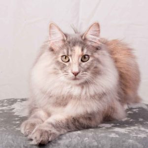 bella_aug09_mail_011