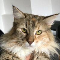 Charlotte_2 Charlotte_2