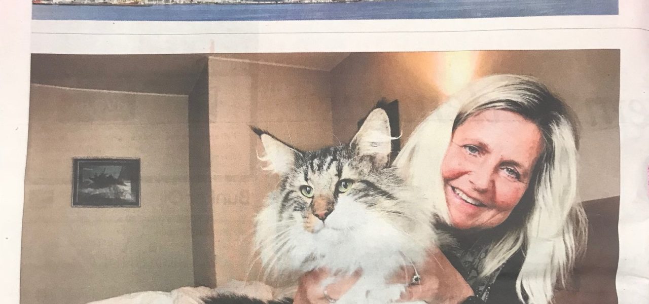 Eva and Migoto’s in the local news in Ålesund, Norway