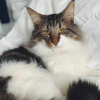 Processed with VSCO with f2 preset