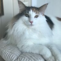 heidi_04 heidi_04