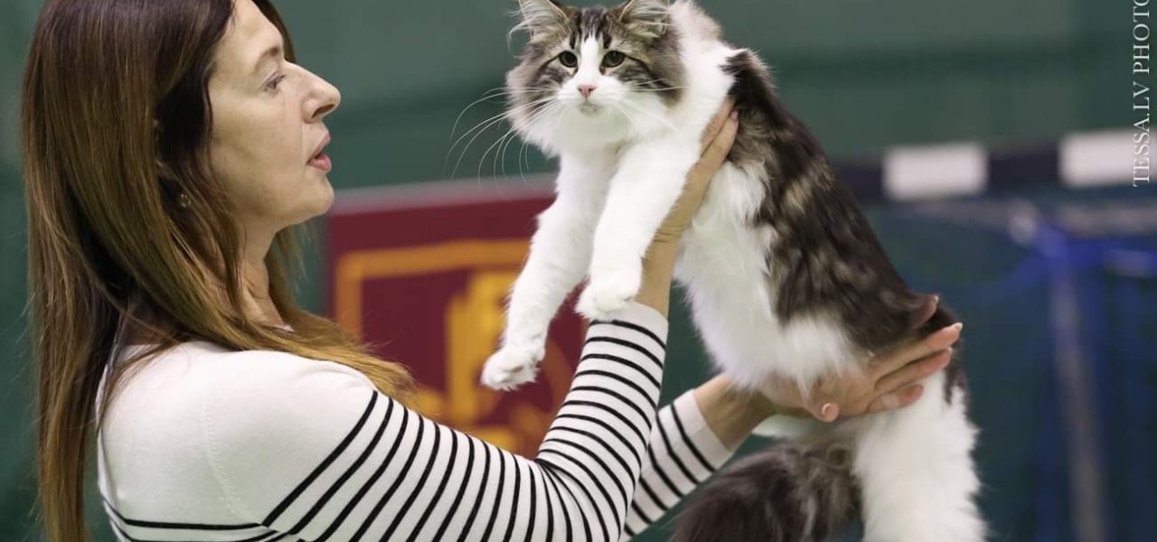 (N)Migoto’s Kaja Best in Show twice in Tallinn!
